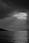 Fotografie - Jiří Berta