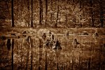 Fotografie - Jiří Berta