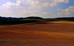 Fotografie - Jiří Berta