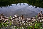Fotografie - Jiří Berta