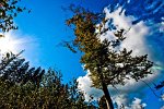 Fotografie - Jiří Berta