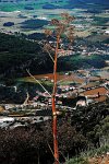 Fotografie - Jiří Berta